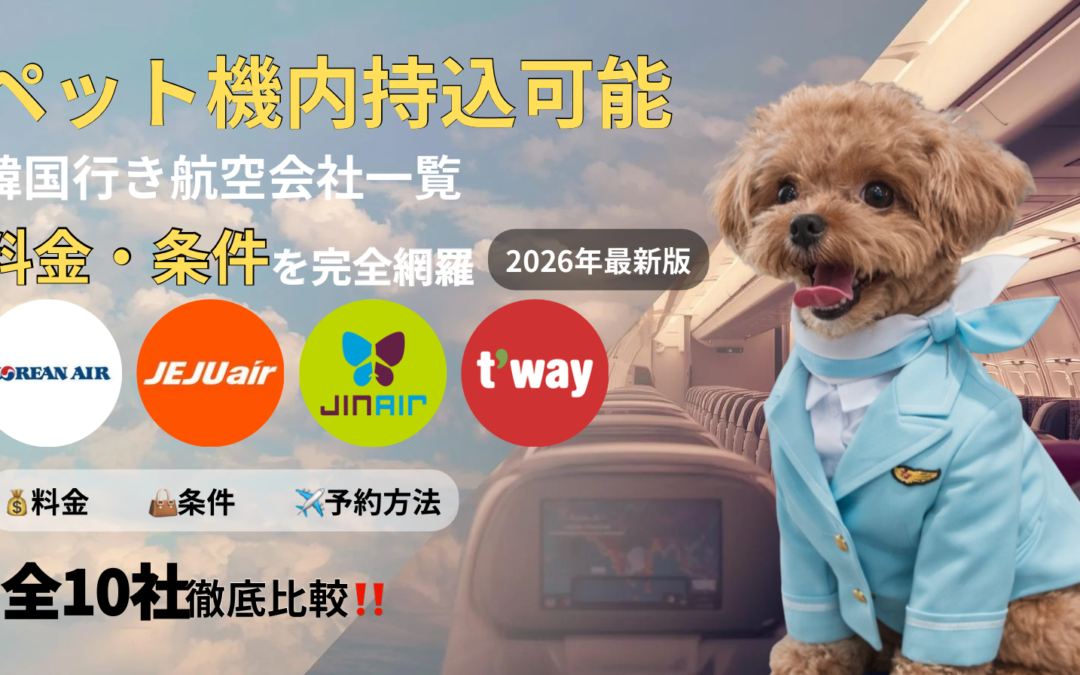 ペット機内持込可能！韓国行き航空会社一覧｜ペットポリシー・料金・条件まとめ【2026】