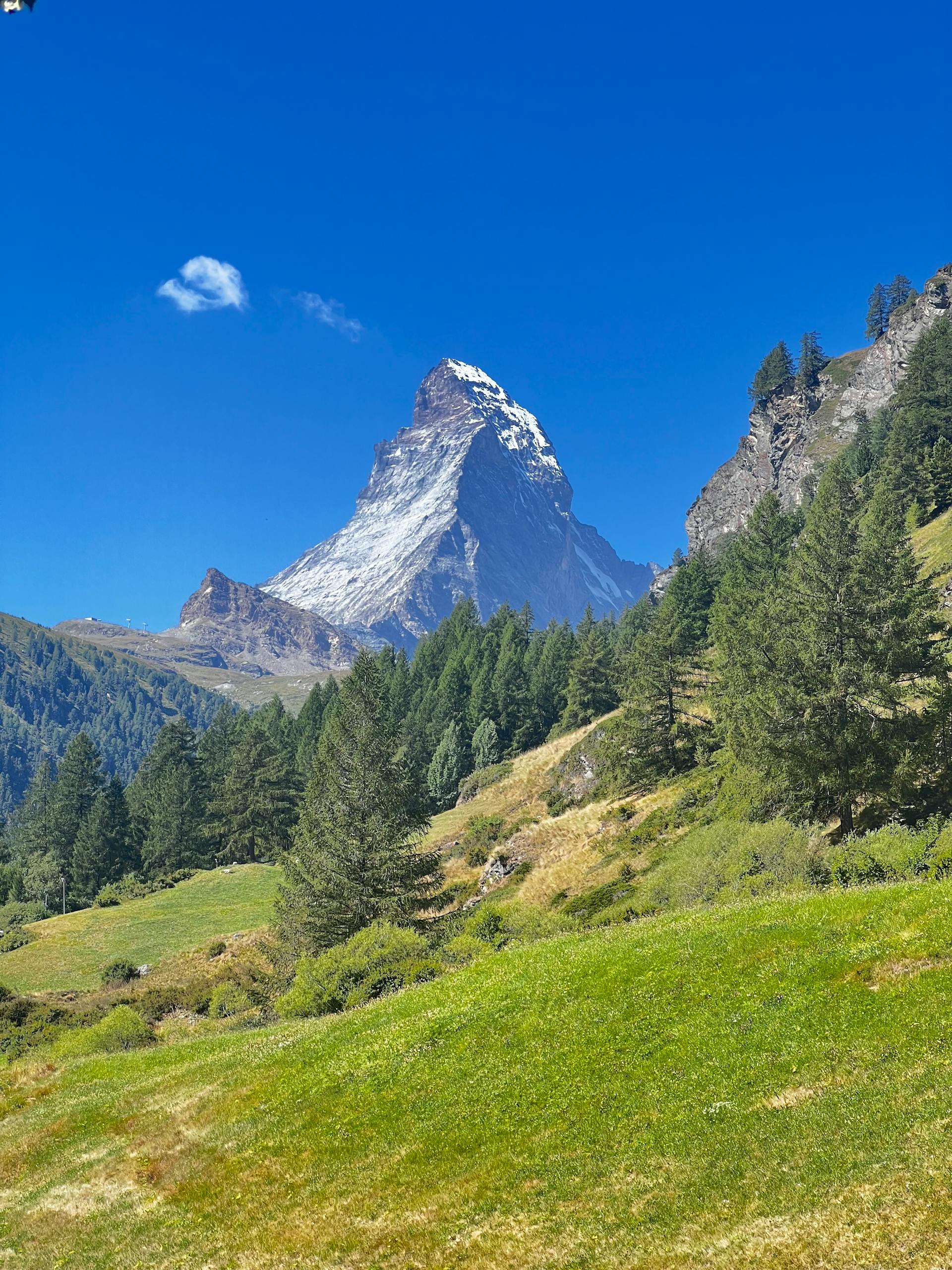 ReactNativeBlobUtilTmp_9rdrvsi7e5vfmvn0bmzl8h